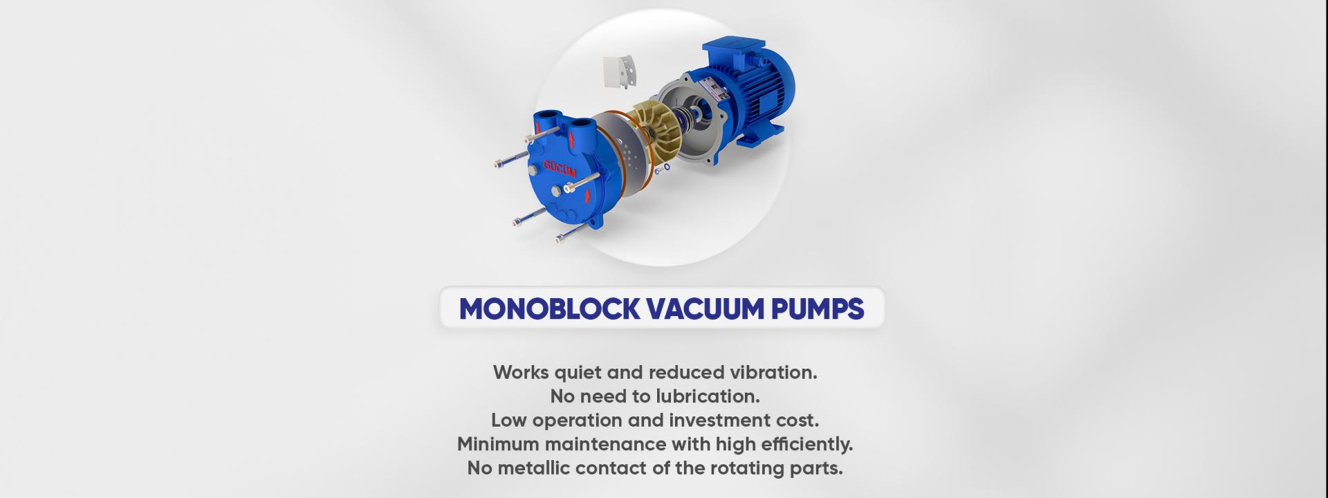 Dusara Monoblock Vacuum Pump